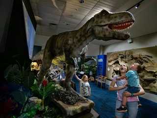 National Dinosaur Museum: Skip The Line Ticket