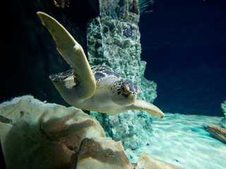 Acquario di Livorno: Entry Ticket