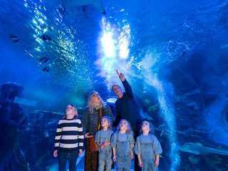SEA LIFE Birmingham: Entry Ticket