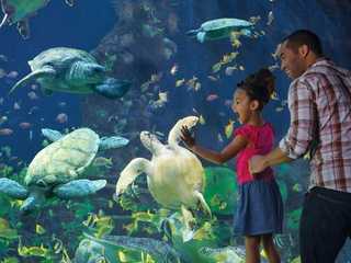SeaWorld San Diego: Fast Track Ticket