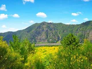 Mount Vesuvius: Skip The Line Ticket + Roundtrip from Naples