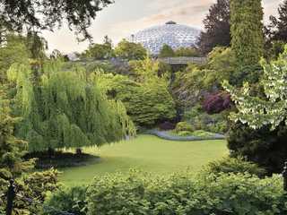 Bloedel Conservatory: Entry Ticket