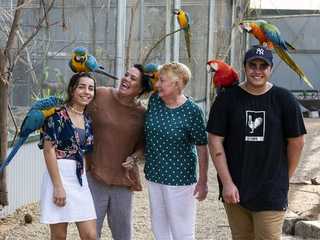 Maleny Botanic Gardens & Bird World: Entry Ticket