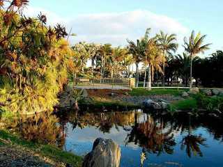 Palmetum of Santa Cruz de Tenerife: Entry Ticket