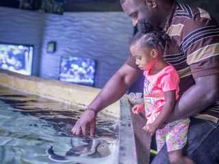San Antonio Aquarium: Entry Ticket