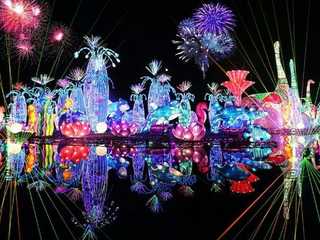 Dubai Garden Glow: Entry Ticket