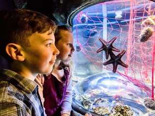 SEA LIFE Brighton: Standard Ticket