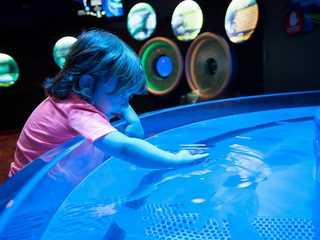 Ripley's Aquarium Myrtle Beach: Entry Ticket