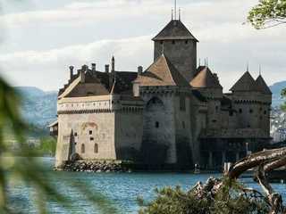 Chillon Castle: Entry Ticket
