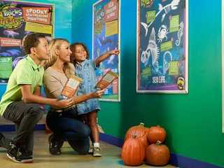 SEA LIFE Orlando: Entry Ticket