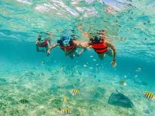 Xcaret Park: Fast Track Ticket