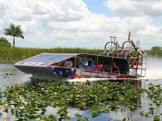 Everglades Holiday Park: Half-Day Trip from Miami with Entry + Transport