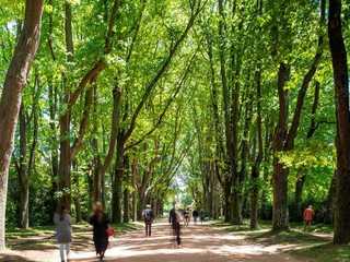 Serralves Park: Entry Ticket and Treetop Walk