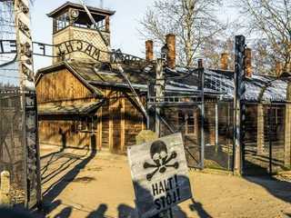 Auschwitz-Birkenau: Guided Tour