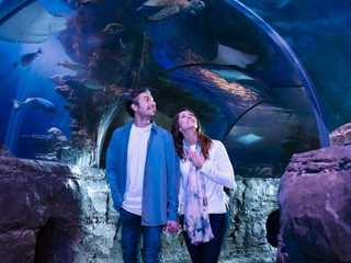 SEA LIFE Orlando & Madame Tussauds: Entry Ticket + Digital Photo