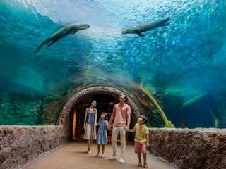 Singapore River Wonders: Entry Ticket