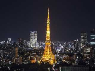 Tokyo Tower: Main Deck Admission + Tokyo Subway Ticket