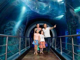 SEA LIFE Melbourne & LEGOLAND® Discovery Centre Combo Ticket