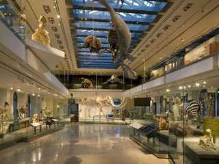 Natural History Museum of Los Angeles County: Entry Ticket
