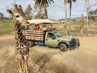 San Diego Zoo Safari Park: Entry Ticket
