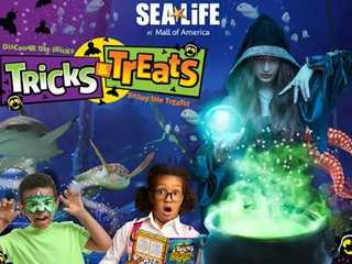 SEA LIFE at Mall of America: Entry Ticket