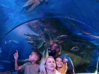 SEA LIFE Arizona: Entry Ticket