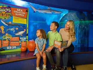 SEA LIFE Aquarium at American Dream: General Admission