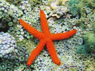Aquarium of Cattolica: Entry Ticket + Lunch