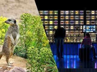 ARTIS Amsterdam Royal Zoo & Micropia: Skip The Line Entry Ticket