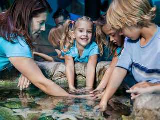 SEA LIFE Manchester: Entry Ticket