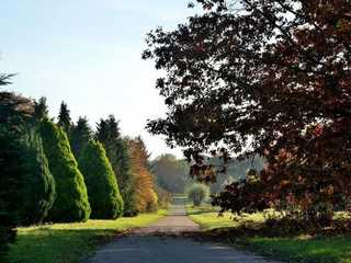 Arboretum de Chèvreloup: Entry Ticket