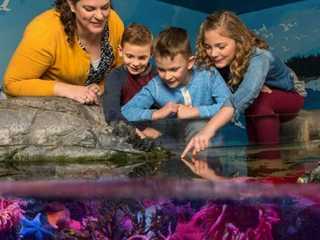 SEA LIFE Charlotte-Concord: Entry Ticket