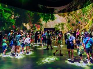 American Museum of Natural History (AMNH): All Ticketed Exhibitions