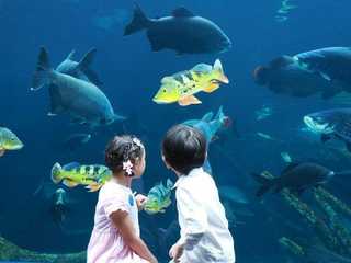 Aquaria Phuket: Entry Ticket