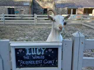Newbridge Heritage Farm: Entry Ticket