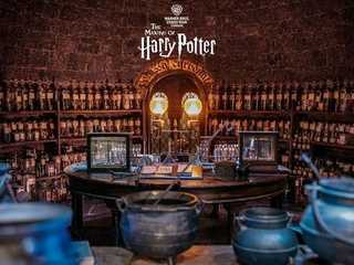 Harry Potter Warner Bros. Studio London: Entry + Train Transfer