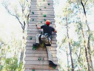 Forest Adventures Park Entry