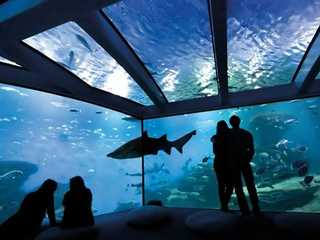 Palma Aquarium: Entry Ticket + Transfer from Calvià Area