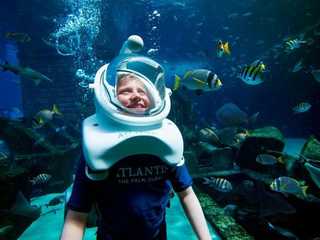 Aquaventure Waterpark: Entry Ticket + Aquarium + Shark Snorkel or Safari