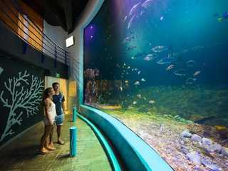 Interactive Aquarium Cancún: Entry Ticket