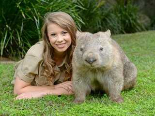 Australia Zoo: Entrance + Transfer from Brisbane