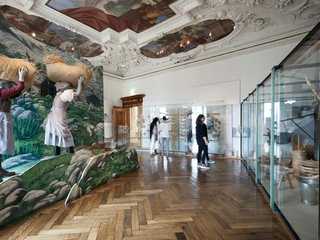 Universalmuseum Joanneum: 24-Hour Access