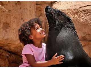 Aquaventure: Entry Ticket + Atlas Village Sea Lion Experience
