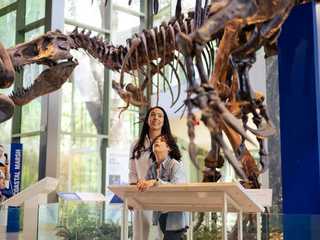 Witte Museum: Entry Ticket