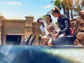 Aquaventure: Entry Ticket + Atlas Village Dolphin Meet and Greet