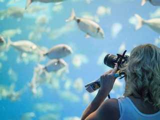 Palma Aquarium: Entry Ticket + Transfer from North