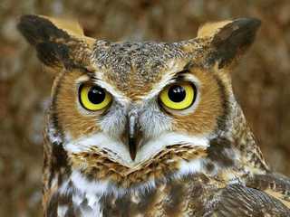 World of Birds Wildlife Sanctuary & Monkey Park: Entry Ticket