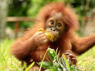 Lombok Wildlife Park: Entry Ticket