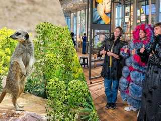 ARTIS Amsterdam Royal Zoo & Groote Museum: Skip-the-Line Entry Ticket