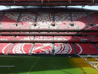 Estádio da Luz: Entry Ticket + Scarf Offer